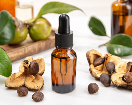 Camellia Seed Oil