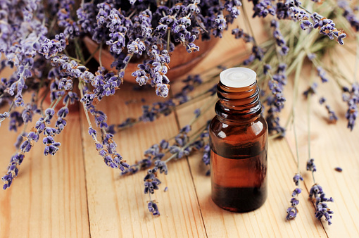 Lavender Essential Oil